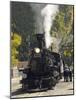 Durango & Silverton Narrow Gauge Railroad, Silverton Station, Colorado, USA-Cindy Miller Hopkins-Mounted Photographic Print