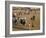 Durbar Festival, Kano, Nigeria, Africa-Jane Sweeney-Framed Photographic Print