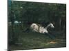 Durchgehendes Pferd (Le Piqueur Ou Le Cheval Dérobé), 1859-1861-Gustave Courbet-Mounted Giclee Print