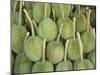 Durian Fruit Piled Up for Sale in Bangkok, Thailand, Southeast Asia, Asia-Charcrit Boonsom-Mounted Photographic Print