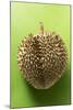 Durian on Green Background-Foodcollection-Mounted Photographic Print