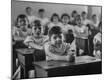 Photographic Print