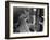 During Construction of the Aswan Dam-Paul Schutzer-Framed Photographic Print