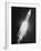 During the Blastoff of Saturn-Ib-null-Framed Photographic Print