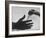 During Training of Surgeon, Often Used Clamp Is Slapped into His Hand-Ed Clark-Framed Photographic Print