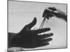 During Training of Surgeon, Often Used Clamp Is Slapped into His Hand-Ed Clark-Mounted Photographic Print