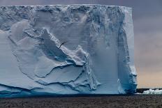 Closeup of a Gigantic Tabular Iceberg in the Weddell Sea around Sunset. Image Taken Enroute from Th-Durk Talsma-Photographic Print