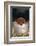 Duroc Piglet in a Pail-DLILLC-Framed Photographic Print