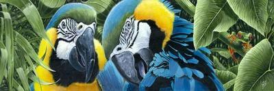 Blue and Yellow Macaws-Durwood Coffey-Giclee Print