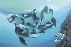 Dolphins-Durwood Coffey-Giclee Print