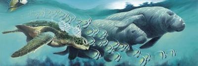 Green Sea Turtles-Durwood Coffey-Giclee Print