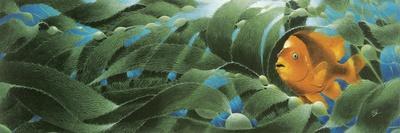 Scarlet Macaws-Durwood Coffey-Giclee Print
