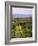 Dusk and Mount Washington, White Mountains, Bethlehem, New Hampshire, USA-Jerry & Marcy Monkman-Framed Photographic Print