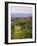 Dusk and Mount Washington, White Mountains, Bethlehem, New Hampshire, USA-Jerry & Marcy Monkman-Framed Photographic Print