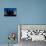 Dusk at Vitaleta Chapel-Michael Blanchette-Photographic Print displayed on a wall