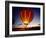 Dusk, Colorful Hot Air Balloon, Albuquerque, New Mexico, USA-null-Framed Photographic Print