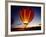 Dusk, Colorful Hot Air Balloon, Albuquerque, New Mexico, USA-null-Framed Photographic Print