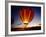 Dusk, Colorful Hot Air Balloon, Albuquerque, New Mexico, USA-null-Framed Photographic Print