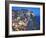 Dusk Falls on a Hillside Town Overlooking the Mediterranean Sea, Manarola, Cinque Terre, Italy-Dennis Flaherty-Framed Photographic Print