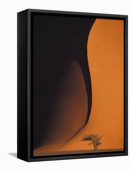 Dusk Falls on Soussevlei Sand Dunes, Namibia-Darrell Gulin-Framed Premier Image Canvas