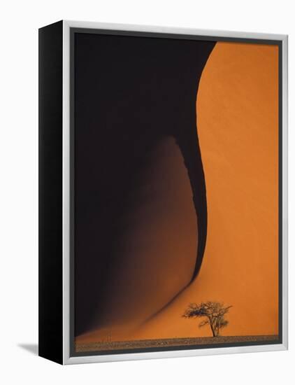 Dusk Falls on Soussevlei Sand Dunes, Namibia-Darrell Gulin-Framed Premier Image Canvas