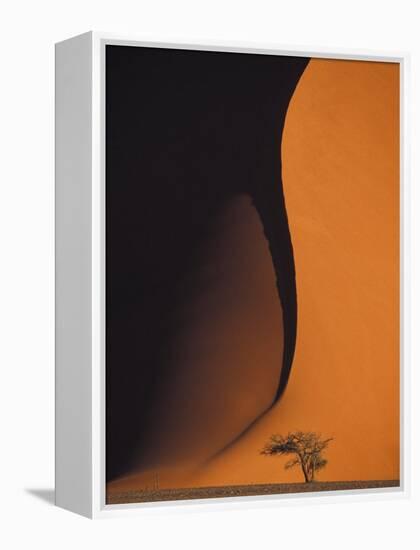 Dusk Falls on Soussevlei Sand Dunes, Namibia-Darrell Gulin-Framed Premier Image Canvas