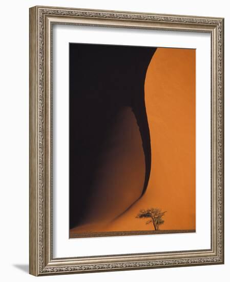 Dusk Falls on Soussevlei Sand Dunes, Namibia-Darrell Gulin-Framed Photographic Print