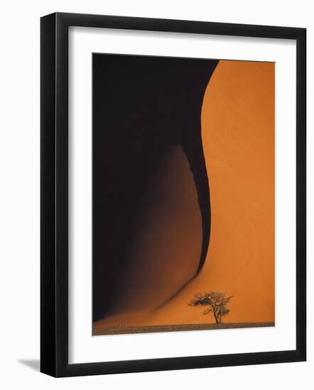 Dusk Falls on Soussevlei Sand Dunes, Namibia-Darrell Gulin-Framed Photographic Print