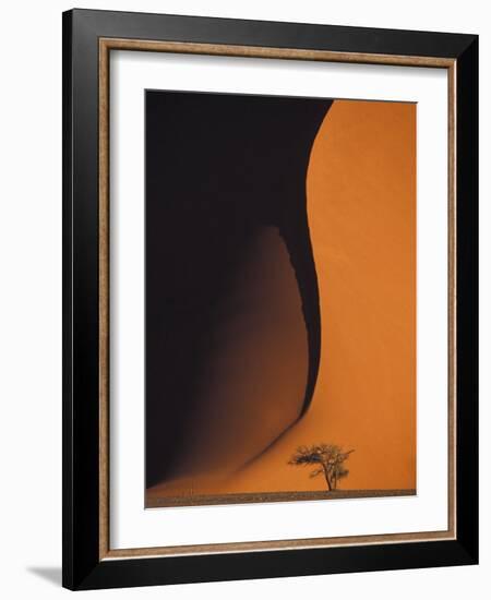 Dusk Falls on Soussevlei Sand Dunes, Namibia-Darrell Gulin-Framed Photographic Print