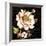 Dusk Flower 1-Studio Rofino-Framed Art Print