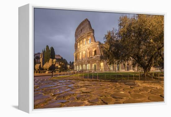 Dusk lights on the Colosseum, the old Flavian Amphitheatre, and symbol of the city, UNESCO World He-Roberto Moiola-Framed Premier Image Canvas