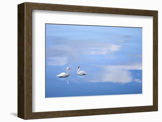 Dusk & Water VI-James McLoughlin-Framed Photographic Print