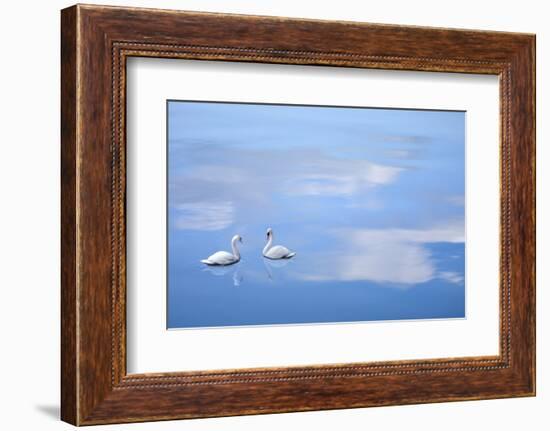 Dusk & Water VI-James McLoughlin-Framed Photographic Print