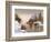 Dusk-LaVere Hutchings-Framed Giclee Print