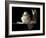 Dusk-Sandra Willard-Framed Giclee Print