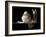 Dusk-Sandra Willard-Framed Giclee Print