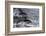 Dusky dolphin (Lagenorhynchus obscurus) jumping, Beagle Channel, Tierra del Fuego, Argentina, South-Michael Runkel-Framed Photographic Print