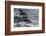 Dusky dolphin (Lagenorhynchus obscurus) jumping, Beagle Channel, Tierra del Fuego, Argentina, South-Michael Runkel-Framed Photographic Print