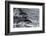 Dusky dolphin (Lagenorhynchus obscurus) jumping, Beagle Channel, Tierra del Fuego, Argentina, South-Michael Runkel-Framed Photographic Print