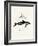 Dusky Dolphin-null-Framed Giclee Print