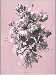 Dussurgey Hydrangea on Pink-Dussurgey-Framed Art Print