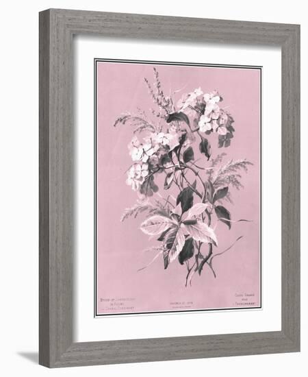 Dussurgey Hydrangea on Pink-Dussurgey-Framed Art Print