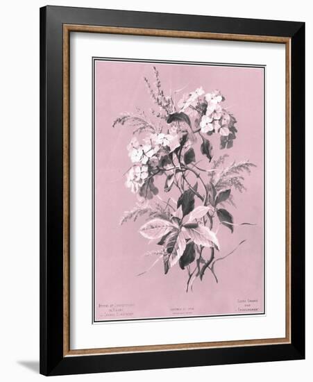 Dussurgey Hydrangea on Pink-Dussurgey-Framed Art Print