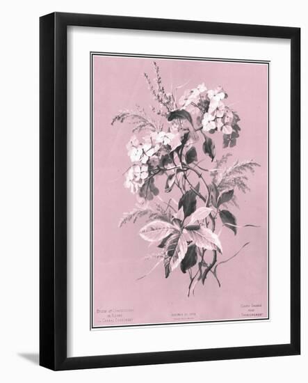 Dussurgey Hydrangea on Pink-Dussurgey-Framed Art Print