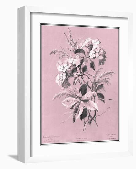 Dussurgey Hydrangea on Pink-Dussurgey-Framed Art Print