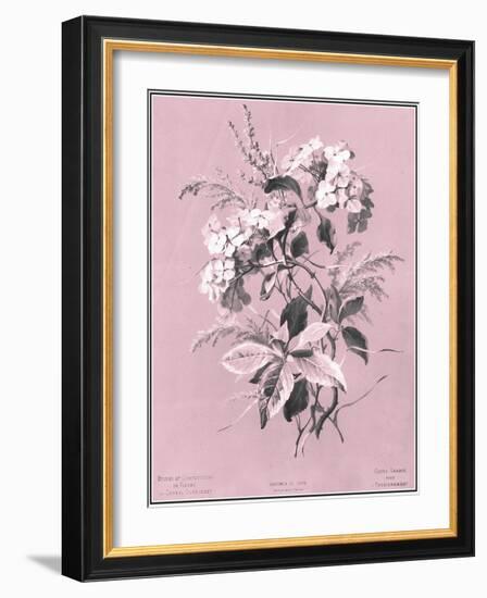 Dussurgey Hydrangea on Pink-Dussurgey-Framed Art Print