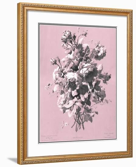 Dussurgey Roses on Pink-Dussurgey-Framed Art Print