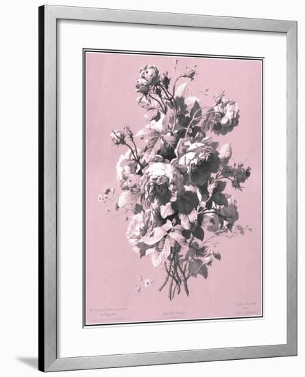 Dussurgey Roses on Pink-Dussurgey-Framed Art Print