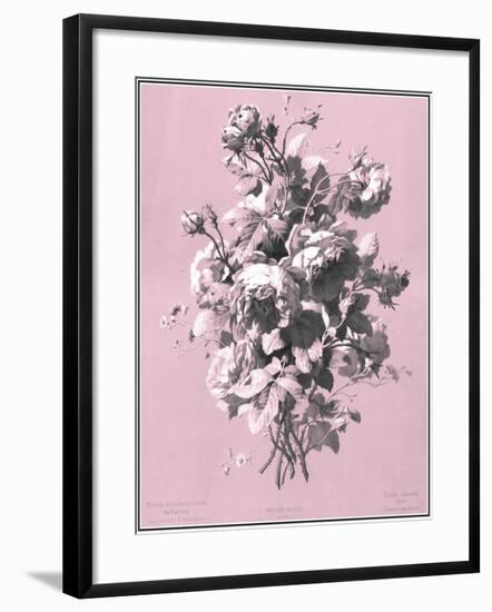 Dussurgey Roses on Pink-Dussurgey-Framed Art Print