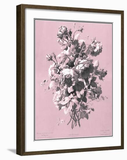 Dussurgey Roses on Pink-Dussurgey-Framed Art Print